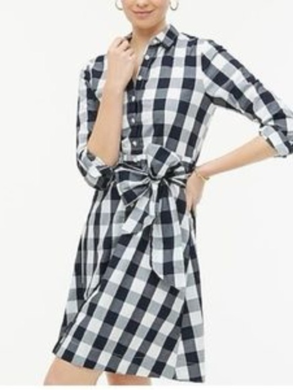 J. Crew Navy and White Gingham Tie-Waist Shirt Dress - Picture 7 of 7